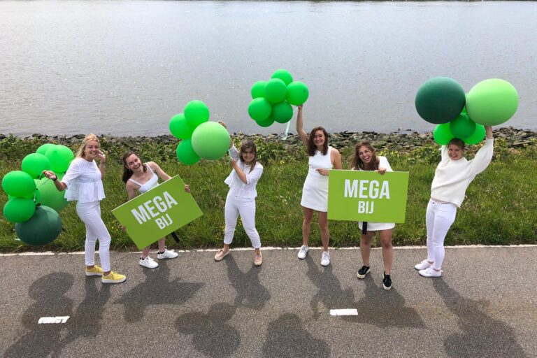opening megabatterij Greenchoice
